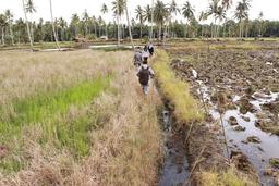 Praktek Lapangan Pelatihan Petugas Survei Luas Panen dan Luas Lahan Tanaman Pangan 2015 Gelombang II